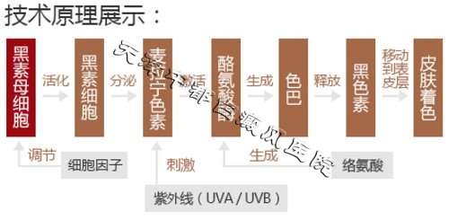 直降500元，白癜风优惠大检查